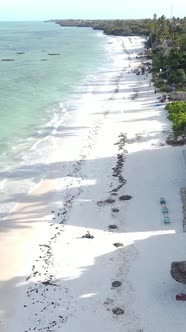 Beach on the Coast of Zanzibar Island Tanzania