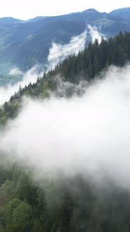 Vertical Video of Fog in the Mountains