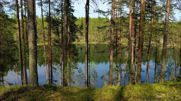 Lake and Forest in Finland