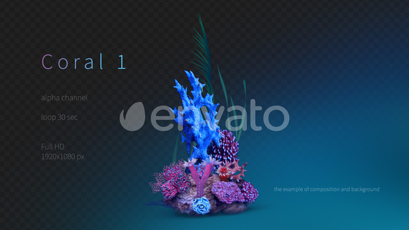 Coral 1 alt