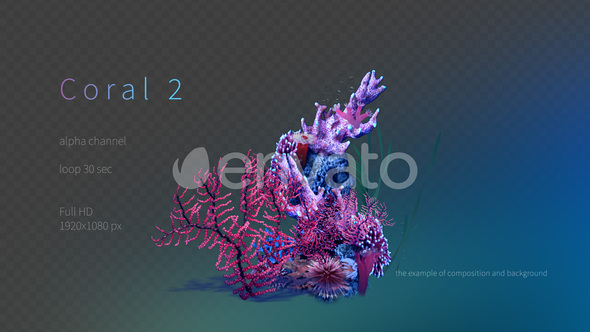 Coral 2 alt