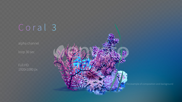 Coral 3 alt