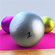 Gym Fitness Ball - 3DOcean Item for Sale