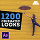 1200 LUTs Color Presets Pack | Cinematic Looks - VideoHive Item for Sale