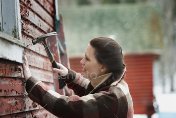 woman with a hammer repairing the shingles on a barn.
