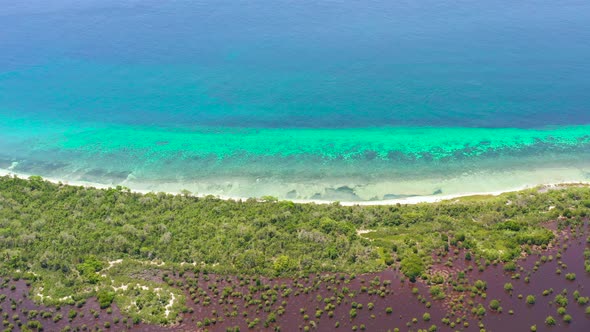 Tropical Beach on the Great Santa Cruz Island