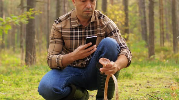 Man Using Smartphone To Identify Mushroom