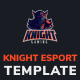 Knight - eSport Website Template - ThemeForest Item for Sale