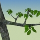 Tree with nice leaf - 3DOcean Item for Sale