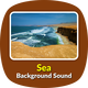 Sea Background Sound - AudioJungle Item for Sale