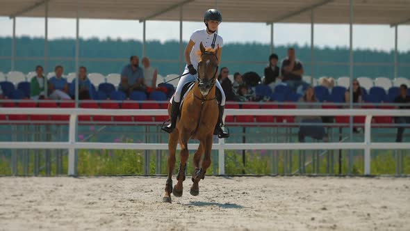 Woman Rider on Horse Galloping on Parkour Arena