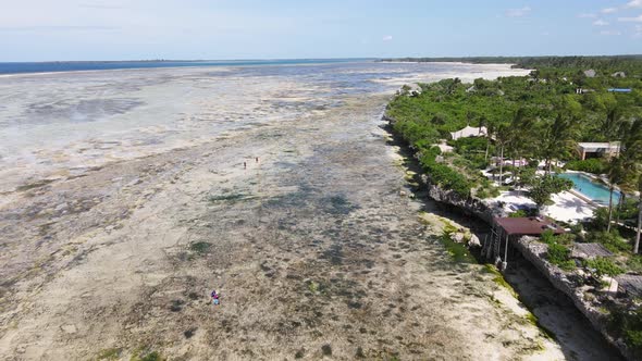 Low Tide in the Ocean Near the Coast of Zanzibar Island Tanzania