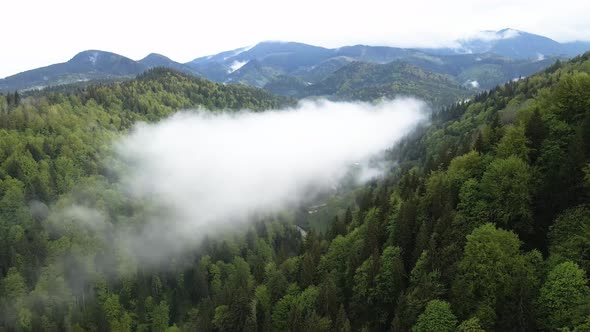 Ukraine, Carpathians: Fog in the Mountains. Aerial.