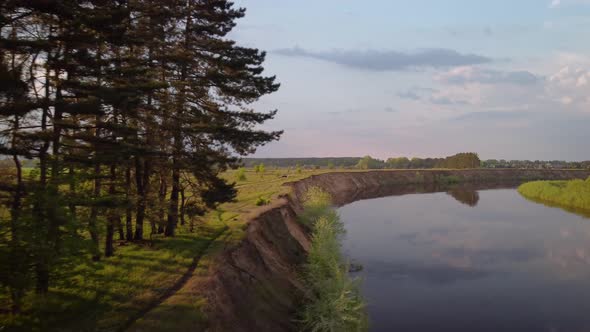 Beautiful drone footage of row of pine trees growing on the banch of a big river