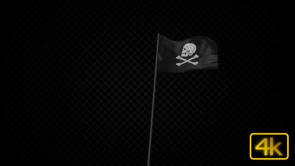 Pirate Flag