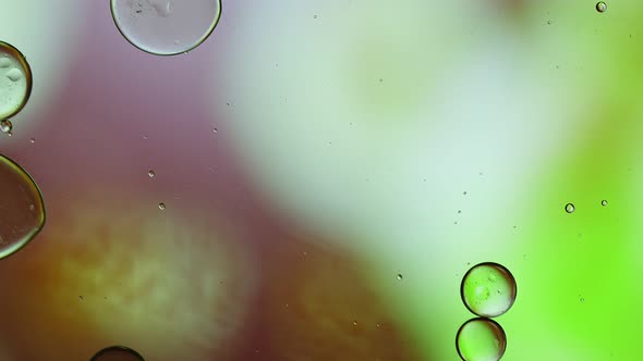 Abstract Colorful Food Oil Drops Bubbles 243 alt