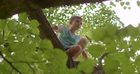 Teenage Boy Sitting Tree