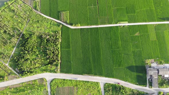 Aerial Video Of Zhejiang Town Paddy Field River Bird Car Road Trees Video