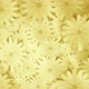Spinning Chamomiles Yellow Background - VideoHive Item for Sale
