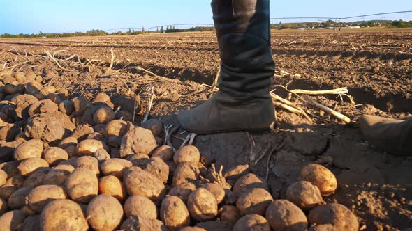 Farmer in Boots Walks Across the Field