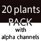 Plants for 3D scenes - 3DOcean Item for Sale