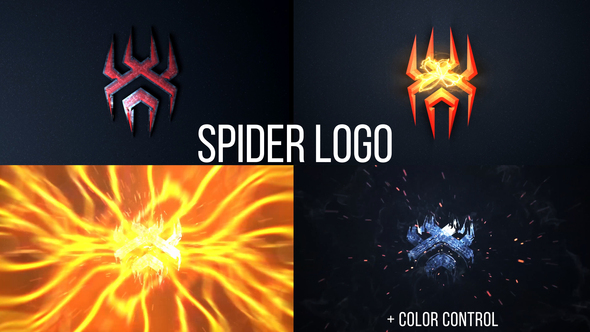 Spider Logo