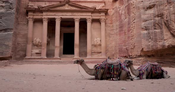 Camels at Petra's Treasury, one of Jordan's most-visited tourist attractions.4K