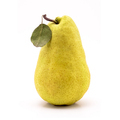 Yellow Bartlett pear isolated - PhotoDune Item for Sale