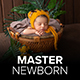 Master Newborn Lightroom Desktop & Mobile Presets - GraphicRiver Item for Sale