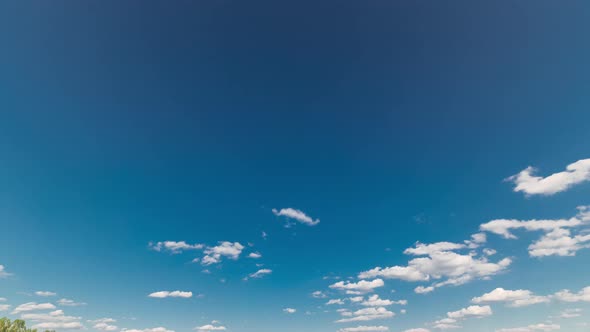 Green Field and Blue Sky with White Cloud Timelapse