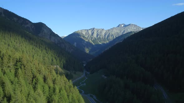 Mountain Pass Covered in Pine Trees During the Summer