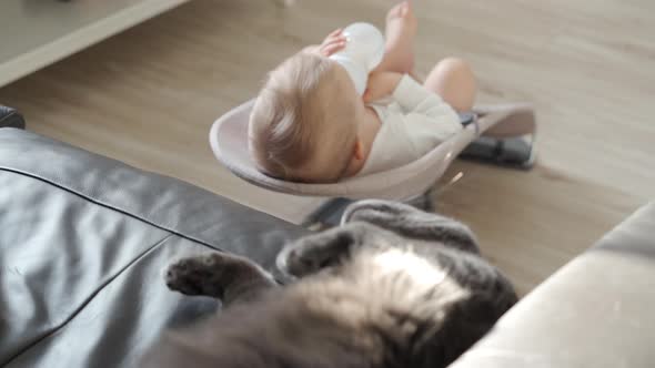 Baby and Cat Living Together Happily One Year Old Kid with Gray Cat at Home Baby Boy Sitting in Baby