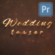 Wedding Day - VideoHive Item for Sale