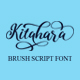 Kitahara Brush Version - GraphicRiver Item for Sale