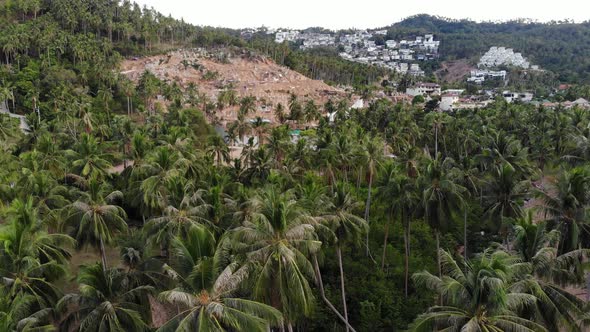 Tropical Terrain Covered with Endangered Forests and Luxury Villas. Drone View of Large Tropics