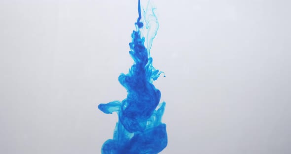 Blue Color Paint Ink Drops in Water at White Background. Inky Cloud Flowing Underwater. Abstract