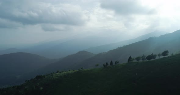 Aerial View of Pristine Green Mountain with Trees in Summer