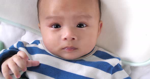 Asian Baby Looking At Camera