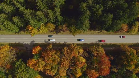 Aerial top view at a road with driving passenger cars framed by autumn colored trees at a wonderful