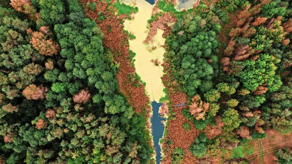 Mouth of the river and lake in autumn