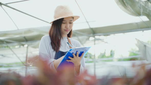 Asian young beautiful woman farmer work in vegetables hydroponic farm.