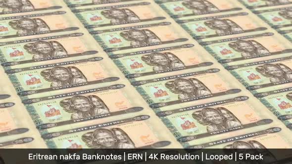 Eritrea Banknotes Money / Eritrean nakfa / Currency Nkf / ERN / 5 Pack - 4K