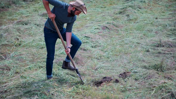 Man Digs Garden . Gardener Digging In Allotment. Growing Organic Vegetables Digs Potatoes Spade.