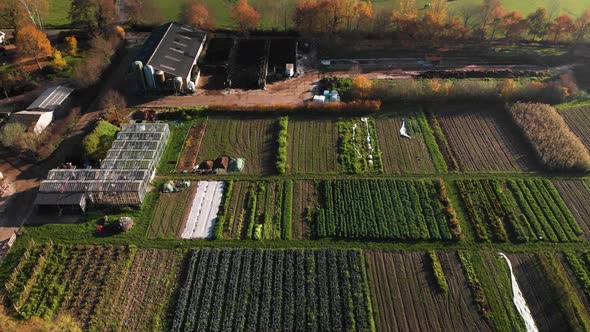 Vegetable and fruit garden of a biological dynamic farm in The Netherlands with an orderly diversity