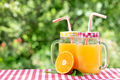 Two jars of orange juice and half an orange - PhotoDune Item for Sale