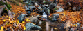 Waterfall on a mountain river in the autumn forest - PhotoDune Item for Sale