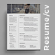 Resume Set - GraphicRiver Item for Sale