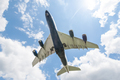 large passenger jet landing - PhotoDune Item for Sale