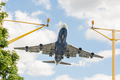large passenger jet landing - PhotoDune Item for Sale