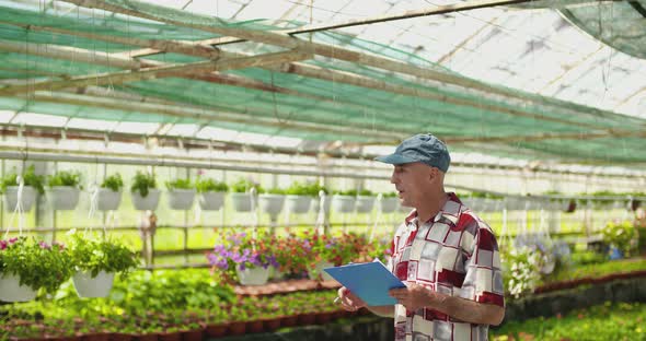 Researcher Examining Potted Plant At Greenhouse